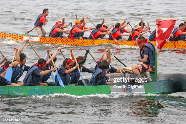 dragon boat racing at the yokohama central town festival 2018 - stadtbezirk naka yokohama stock-fotos und bilder