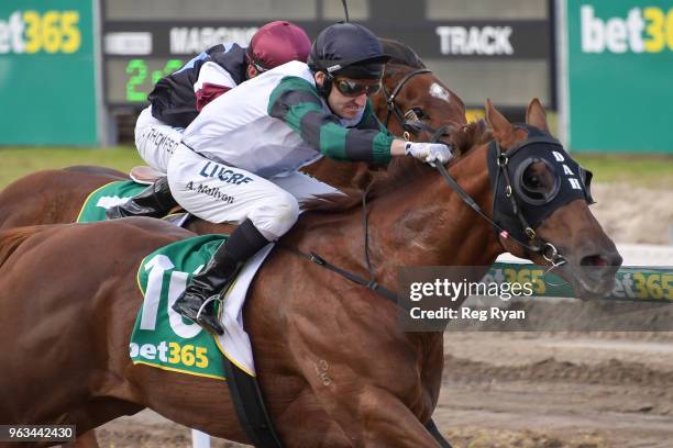 Celebrity Reign ridden by Andrew Mallyon wins the Geelong Homes Maiden Plate at Geelong Synthetic Racecourse on May 29, 2018 in Geelong, Australia.