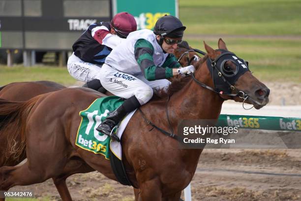 Celebrity Reign ridden by Andrew Mallyon wins the Geelong Homes Maiden Plate at Geelong Synthetic Racecourse on May 29, 2018 in Geelong, Australia.