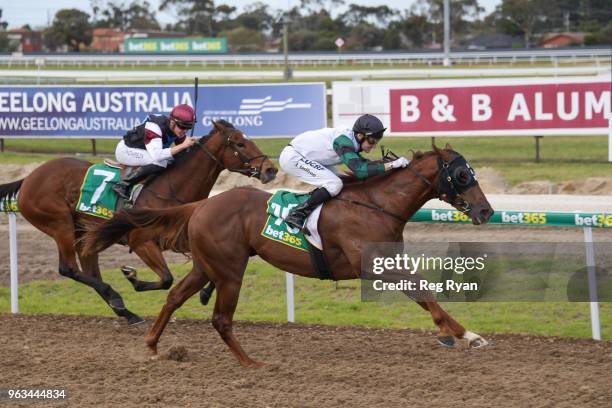 Celebrity Reign ridden by Andrew Mallyon wins the Geelong Homes Maiden Plate at Geelong Synthetic Racecourse on May 29, 2018 in Geelong, Australia.