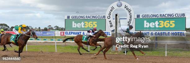 Celebrity Reign ridden by Andrew Mallyon wins the Geelong Homes Maiden Plate at Geelong Synthetic Racecourse on May 29, 2018 in Geelong, Australia.