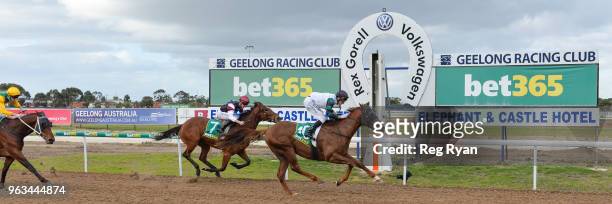 Celebrity Reign ridden by Andrew Mallyon wins the Geelong Homes Maiden Plate at Geelong Synthetic Racecourse on May 29, 2018 in Geelong, Australia.