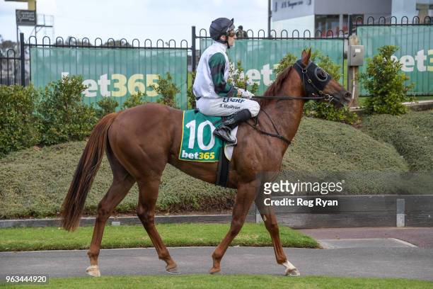 Andrew Mallyon returns to the mounting yard on Celebrity Reign after winning the Geelong Homes Maiden Plate, at Geelong Synthetic Racecourse on May...