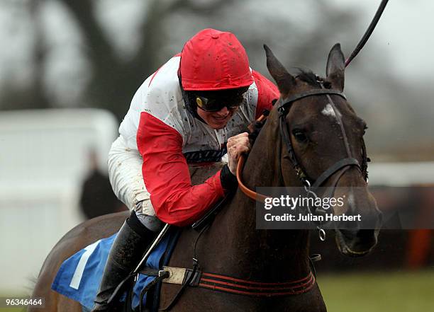 Jack Doyle and King's Forest pull away from the last fence before going on to win The Fredericks Foundation Beginners' Steeple Chase Race run at...