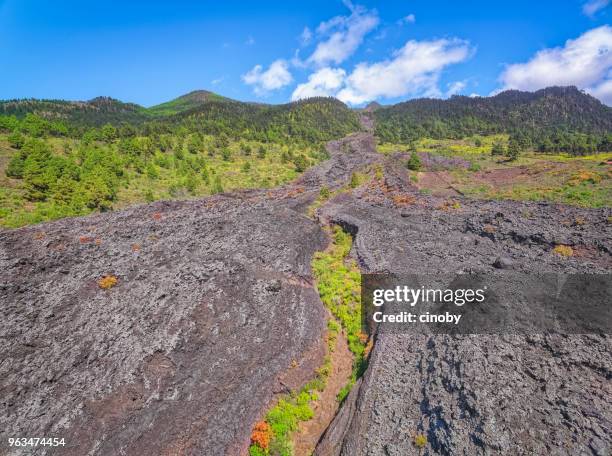 arial view of lava field of san juan near village todoque, las manchas, puerto naos and cumbre vieja on canary islands la palma in the province of santa cruz de tenerife - spain - puerto naos stock pictures, royalty-free photos & images
