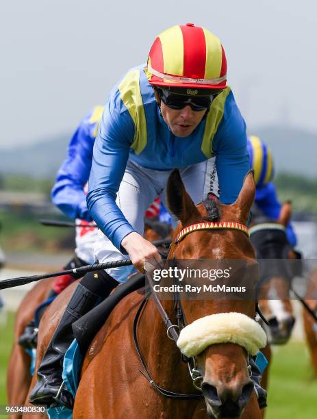 Leigh Roche 178 Leigh Roche Stock Photos, High-Res Pictures, and Images - Getty Images