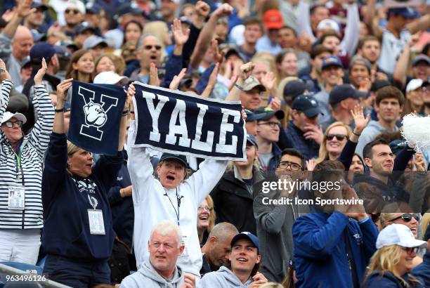 Yale Bulldogs fans during the NCAA Division I Men's Championship match between Duke Blue Devils and Yale Bulldogs on May 28 at Gillette Stadium in...