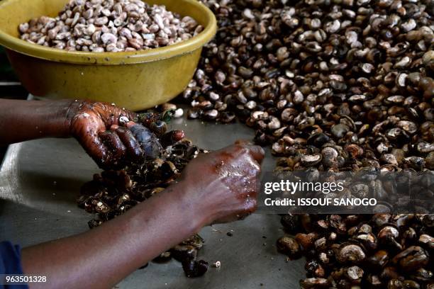 Woman breaks raw cashew nuts at a cashew nuts processing factory in the central Ivorian city of Bouake on May 24, 2018.