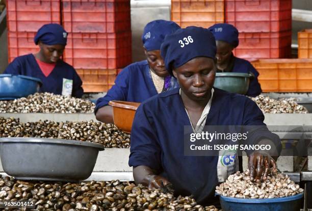 Women break raw cashew nuts at a cashew nuts processing factory in the central Ivorian city of Bouake on May 24, 2018.