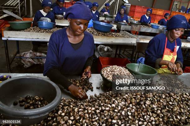 Women break raw cashew nuts at a cashew nuts processing factory in the central Ivorian city of Bouake on May 24, 2018.