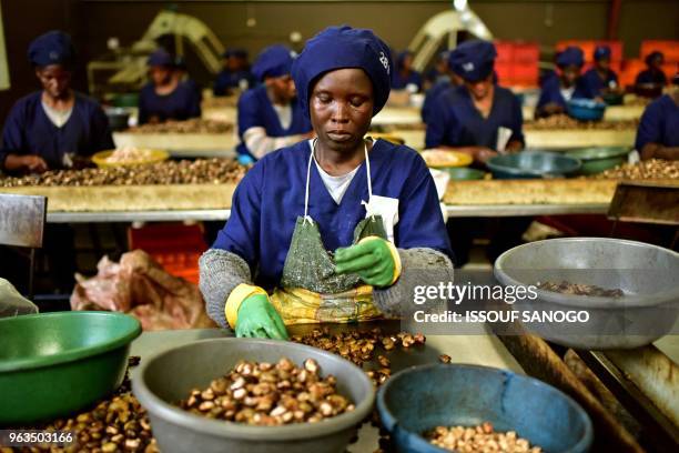 Woman breaks raw cashew nuts at a cashew nuts processing factory in the central Ivorian city of Bouake on May 24, 2018.