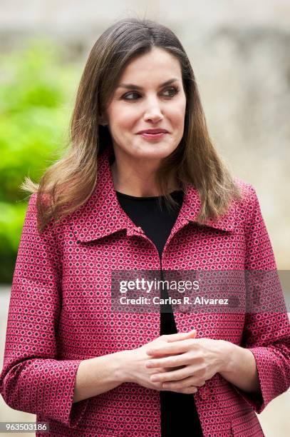 Queen Letizia of Spain attends the inauguration of the 13th International Seminar of Language and Journalism ÔEl Lenguaje en la Era de la PosverdadÕ...