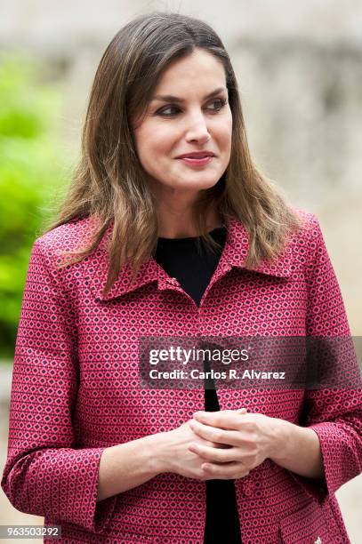 Queen Letizia of Spain attends the inauguration of the 13th International Seminar of Language and Journalism ÔEl Lenguaje en la Era de la PosverdadÕ...