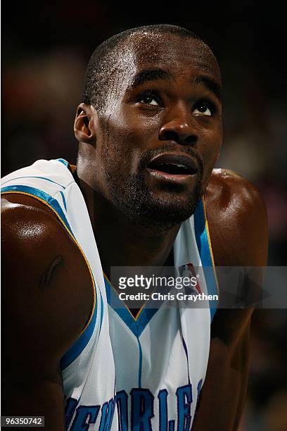 Emeka Okafor of the New Orleans Hornets during the game against the New Jersey Nets at the New Orleans Arena on January 8, 2010 in New Orleans,...