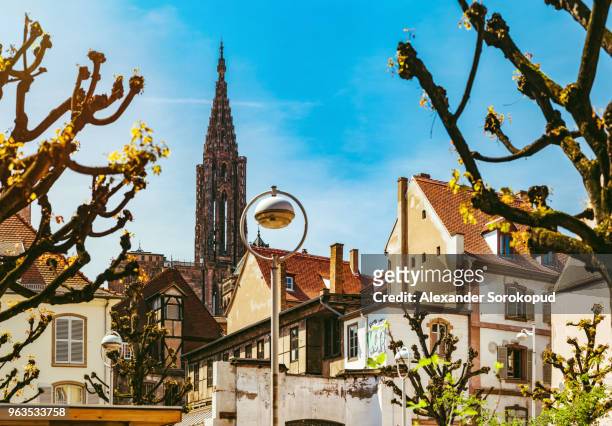 strasbourg street view with cathedral tower on background - strasbourg foto e immagini stock