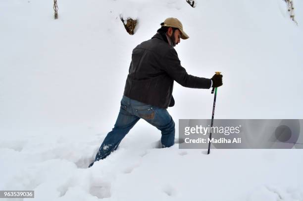 a man walking in the snow - ali mountains stock-fotos und bilder