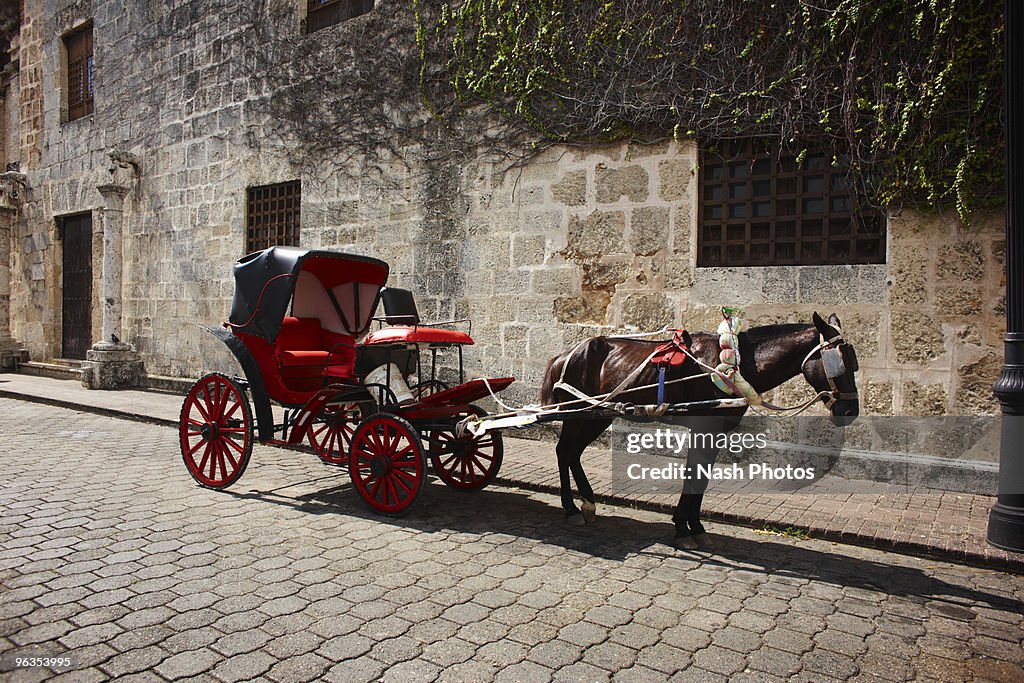 Horse Carriage