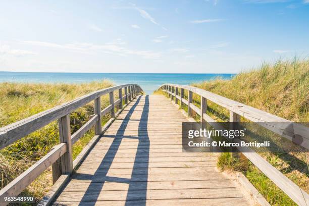 walkway to the baltic sea, germany - lower saxony stock pictures, royalty-free photos & images