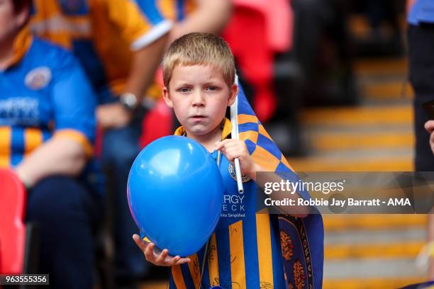 Fan of Shrewsbury Town during the Sky Bet League One Play Off Final between Rotherham United and Shrewsbury Town at Wembley Stadium on May 27, 2018...