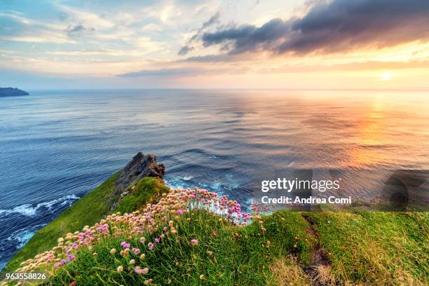 sunset at the cliffs of moher - cliffs of moher stockfoto's en -beelden