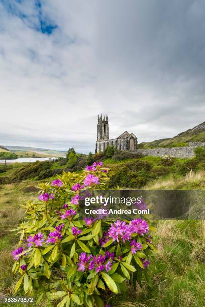 dunlewy (dunlewey) old church, poisoned glen, county donegal, ulster region, ireland, europe - andrea comi stock-fotos und bilder