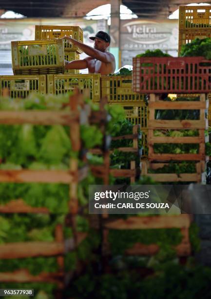 Worker stacks vegetables from a delivery truck at CEASA wholesale market in, Rio de Janeiro, Brazil on May 29, 2018. - A mega-strike by Brazilian...