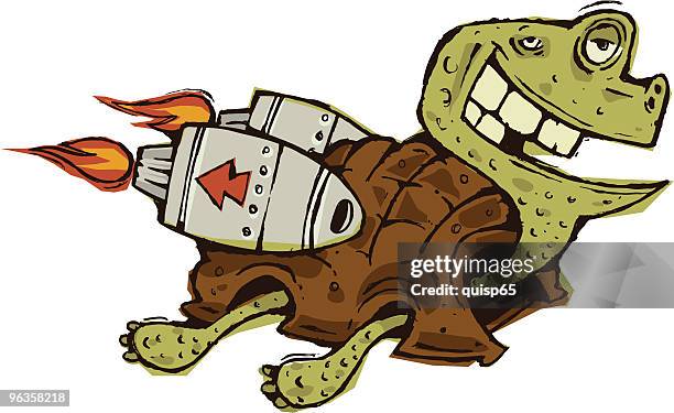189 Turtle Winning Race Stock Photos, High-Res Pictures, and Images ...