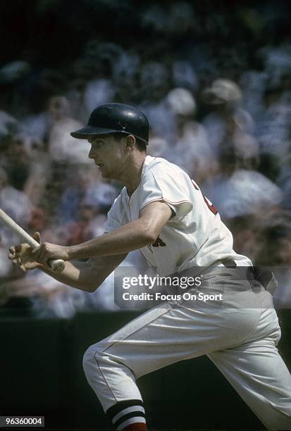 S: Outfielder Tony Conigliaro of the Boston Red Sox swings and watches the flight of his ball during a circa mid 1960's Major League Baseball game at...