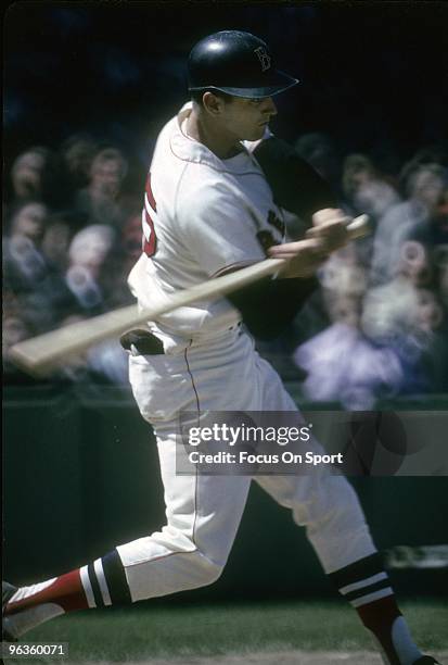 S: Outfielder Tony Conigliaro of the Boston Red Sox swings at a pitch during a circa mid 1960's Major League Baseball game at Fenway Park in Boston,...