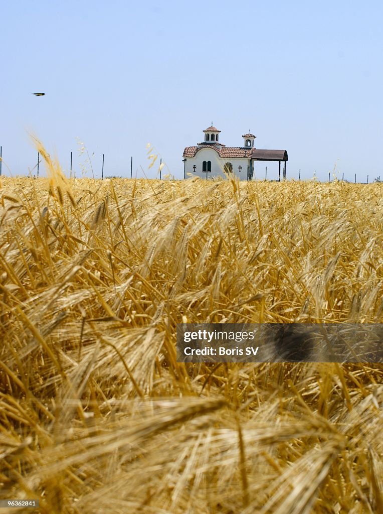 Lark and church