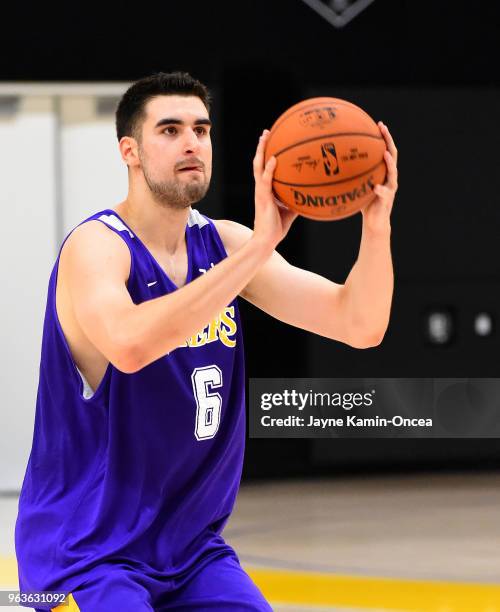 Dusan Ristic Dusan Ristic Photos and Premium High Res Pictures - Getty Images