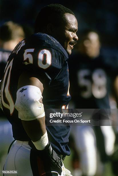 S: Middle Linebacker Mike Singletary of the Chicago Bears watches the action from the sidelines during a circa late 1980's NFL football game at...