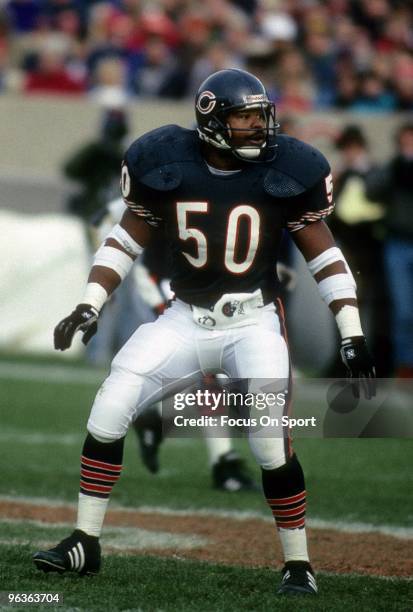 S: Middle Linebacker Mike Singletary of the Chicago Bears in action during a circa late 1980's NFL football game at Soldier Field in Chicago,...