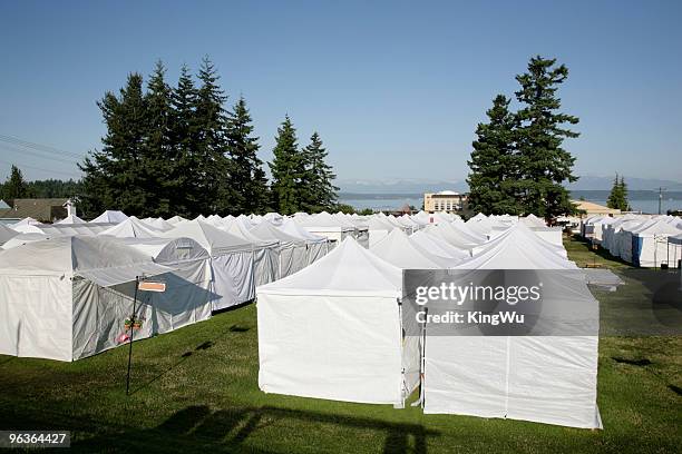 canopy - canopy tent stock pictures, royalty-free photos & images