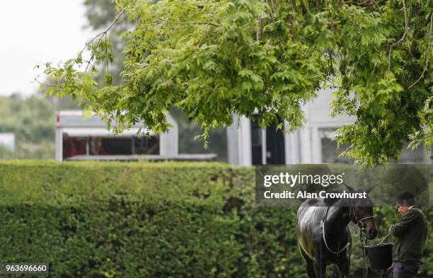 Nottingham Racecourse Photos and Premium High Res Pictures - Getty Images