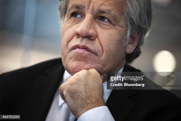 Luis Almagro, secretary general of the Organization of American States , listens during an interview in Washington, D.C., U.S., on Wednesday, May 30,...