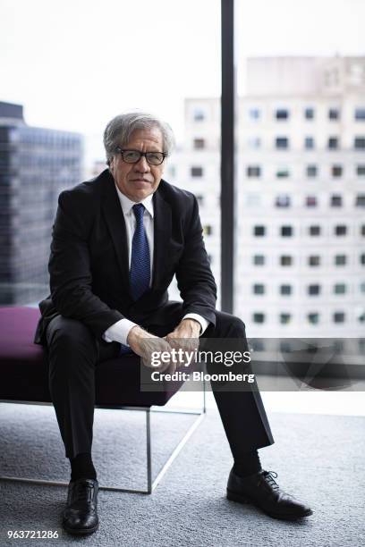 Luis Almagro, secretary general of the Organization of American States , sits for a photograph after an interview in Washington, D.C., U.S., on...