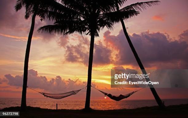 Woman relaxes in a hammock between palm trees at sunset on the beach of Varkala on January 12, 2010 in Varkala near Trivandrum, Kerala, India.