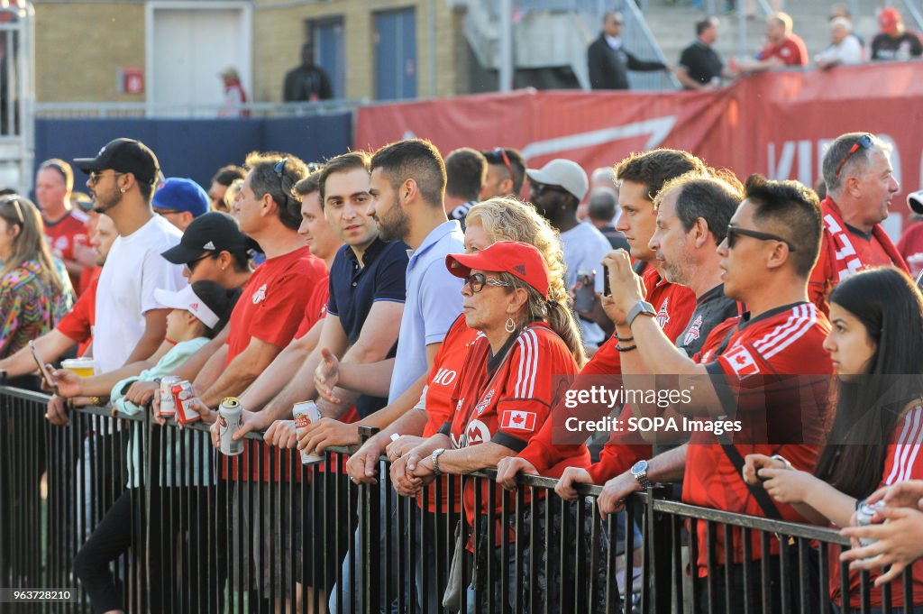 Toronto FC fans seen watching the game during 2018 MLS...