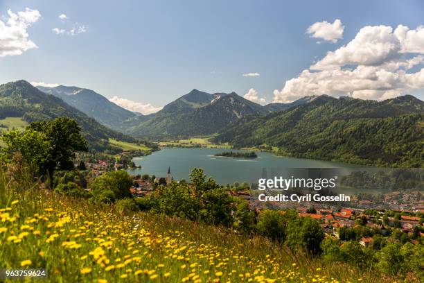 high angle view of lake schliersee - osten 個照片及圖片檔