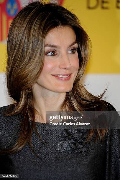 Princess Letizia of Spain attends "Principe Felipe a la Excelencia Empresarial" Awards 2010 at Department of Industry and Tourism on February 3, 2010...