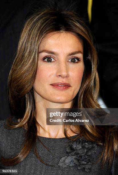 Princess Letizia of Spain attends "Principe Felipe a la Excelencia Empresarial" Awards 2010 at Department of Industry and Tourism on February 3, 2010...