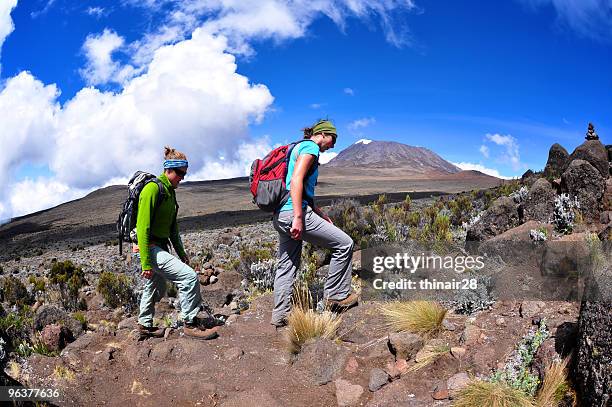 hikers on kilimanjaro - mt kilimanjaro stock pictures, royalty-free photos & images