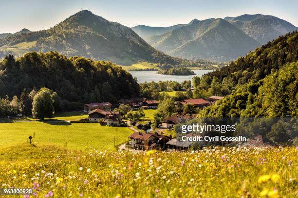 high angle view of lake schliersee - alpen bayern fotografías e imágenes de stock