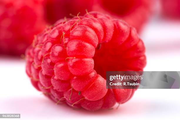 Teal White Raspberry 904 White Raspberry Stock Photos, High-Res Pictures, and Images - Getty ...