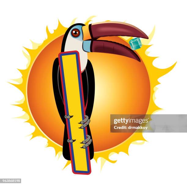 illustrations, cliparts, dessins animés et icônes de toucan - mocoa