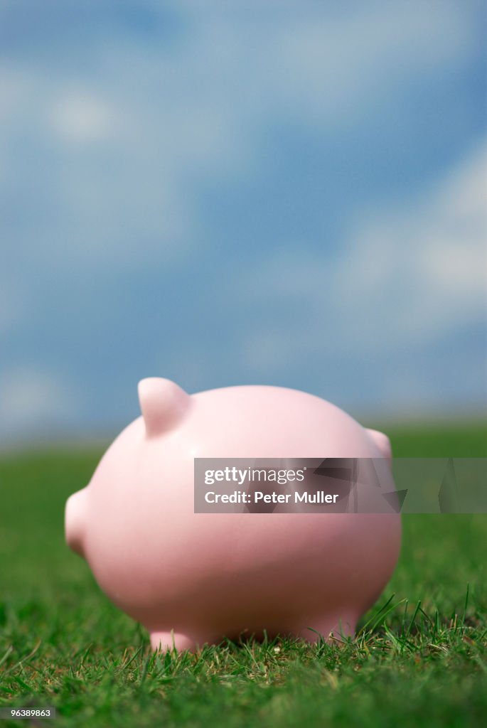 Piggy bank in field