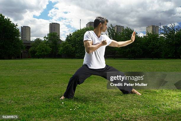 man doing martial arts - fighting stance 個照片及圖片檔