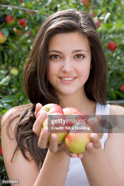 harvest time 09 - bishop's stortford stock pictures, royalty-free photos & images