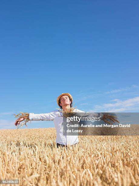 scarecrow in wheat field - vogelverschrikker stockfoto's en -beelden